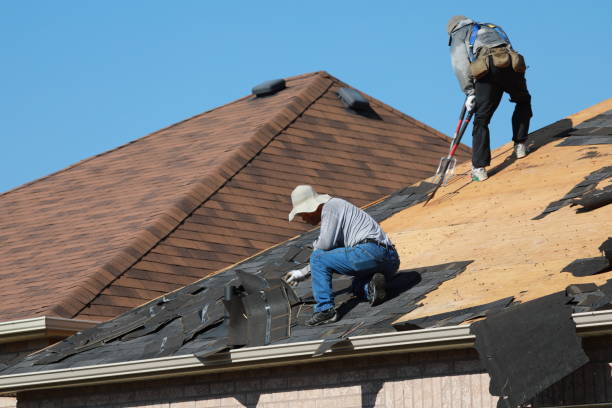 Best Roof Moss and Algae Removal  in North Redington Beach, FL